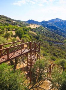 Culinary Experiences! - Gallery 1