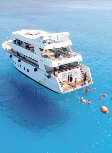 Family Boat Trip - Gallery 1