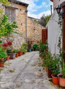 Delightful by Nature    (Arsos- Omodos-Vouni ) - Gallery 3